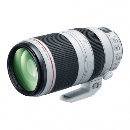 Canon EF 100-400mm f/4.5-5.6L IS II USM