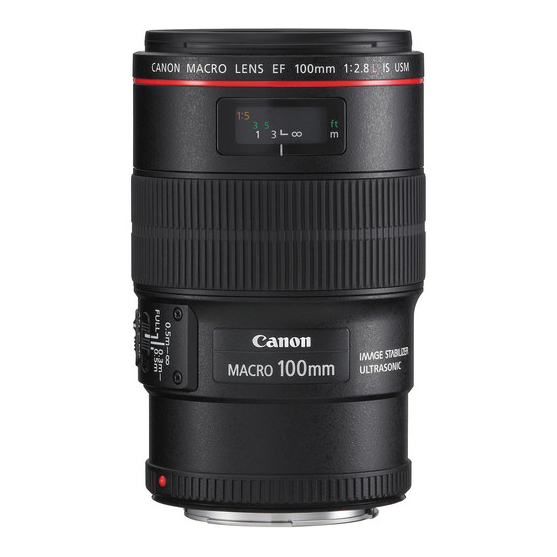 Canon EF 100mm F/2.8L Macro IS USM - 2