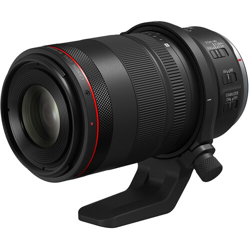 Canon RF 100mm f/2.8L Macro IS USM - 3