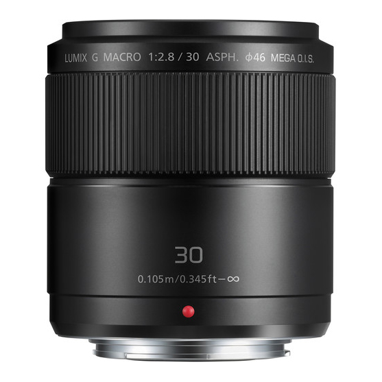 Panasonic LUMIX G MACRO 30mm f/2.8 MEGA O.I.S. - 4