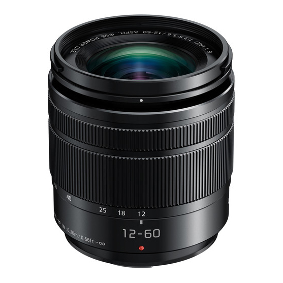 Panasonic Lumix G Vario 12-60mm f/3.5-5.6 POWER O.I.S. - 3